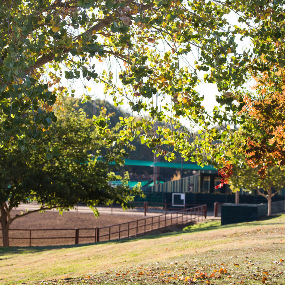 Camp at Horse Expo Western States Horse Expo