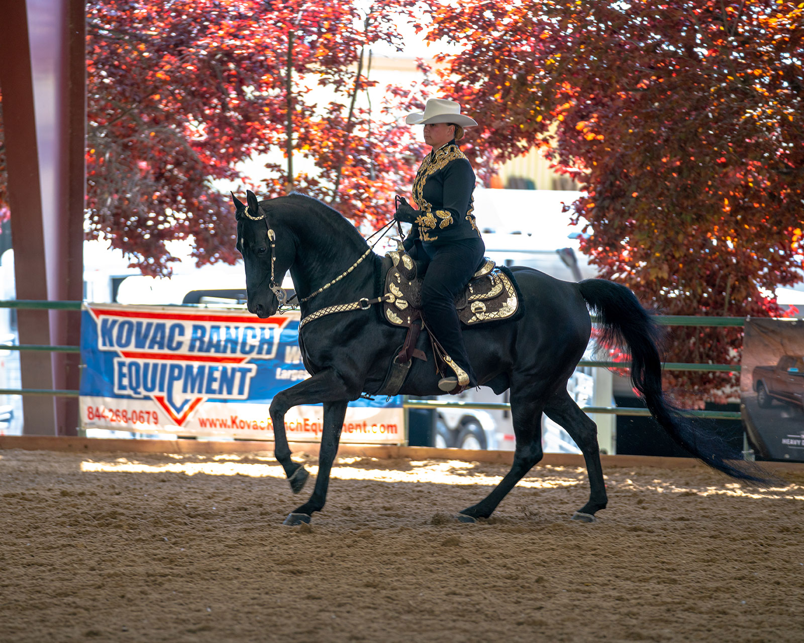 Horse Expo Breed Pavilion Western States Horse Expo