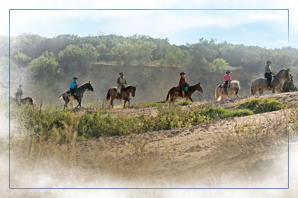 equine-trail-sports-thumbnail-new