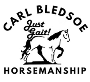 carl-bledsoe-logo